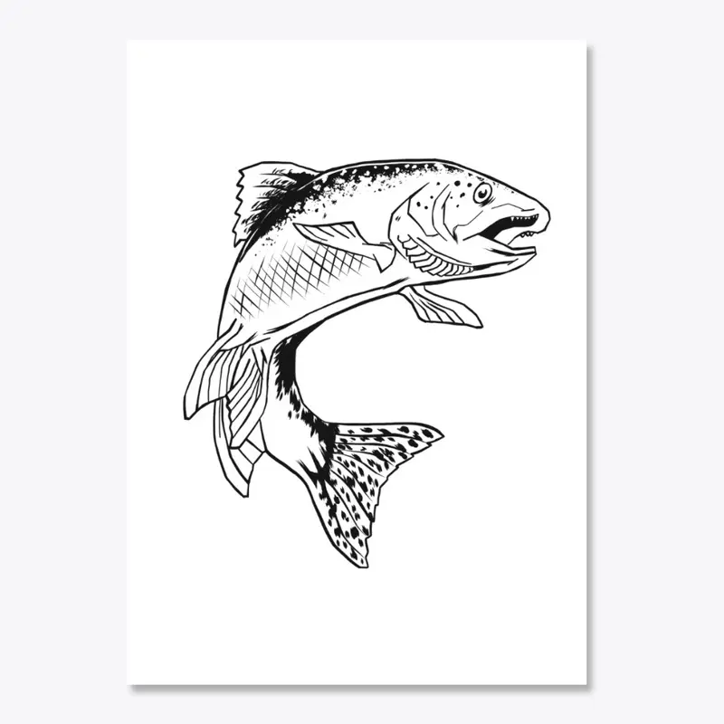 Trout Decal